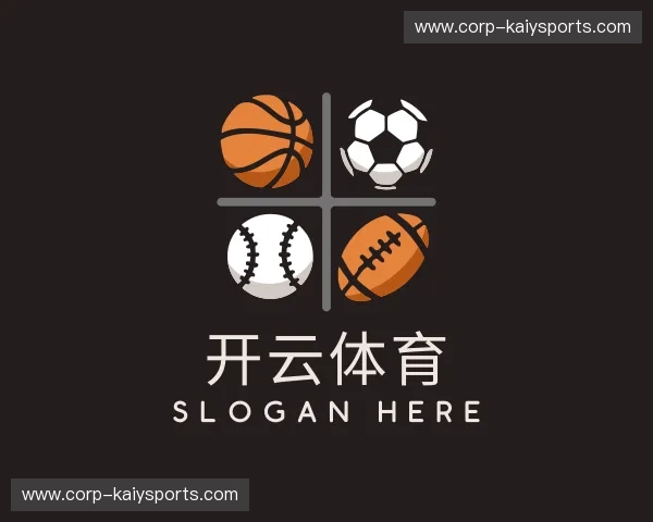 了解开云体育入口